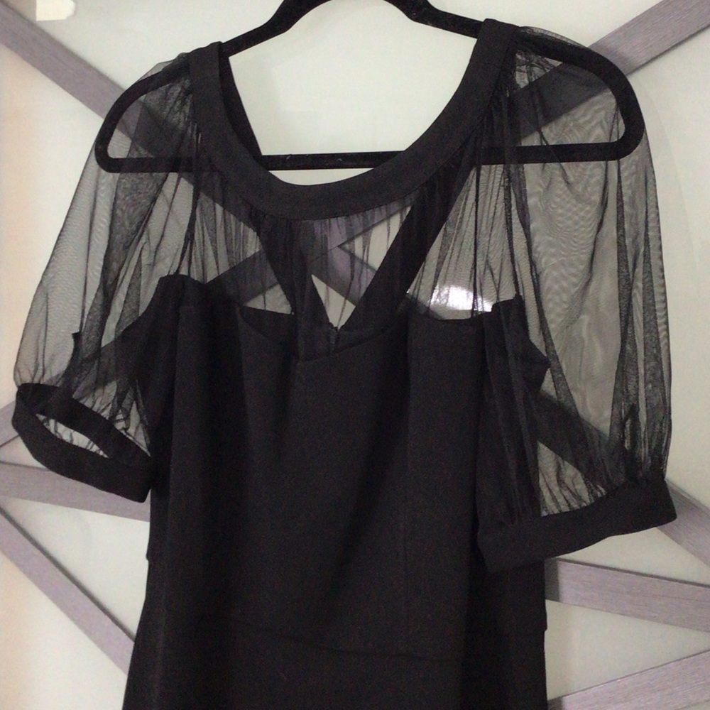 Maggy London Black Dress with Sheer Sleeves - Picture 6 of 12
